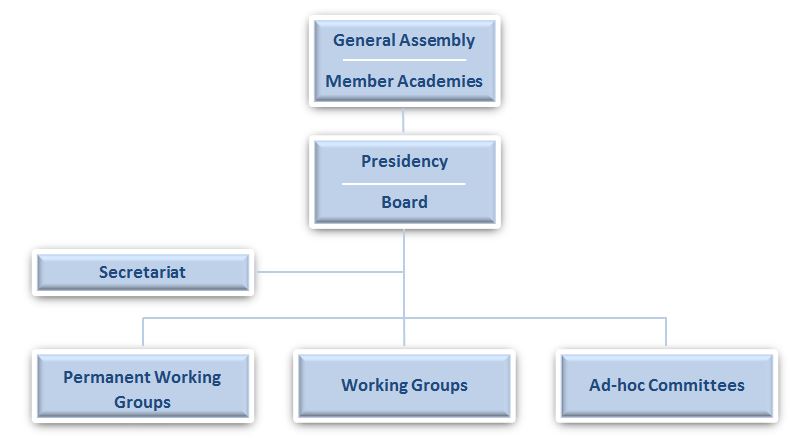 organisational structure3