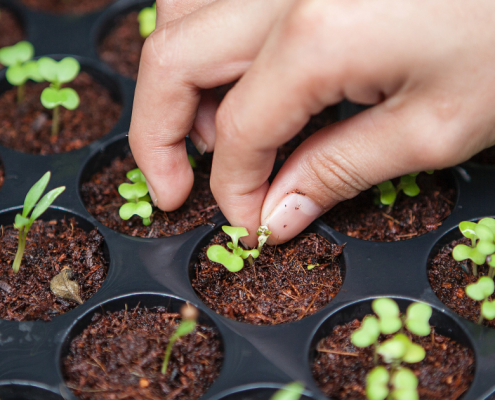 joshua-lanzarini-FGvQKMP-iXY-unsplash-1500x630